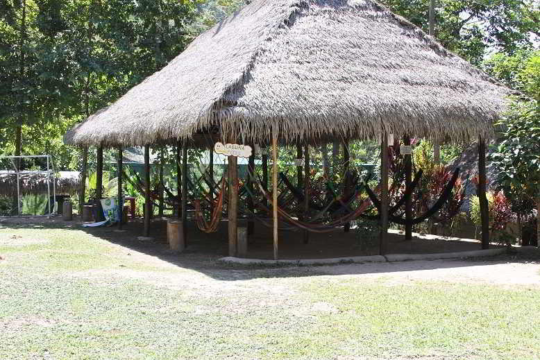 Mariposario Zhaveta Yard - Chanchamayo